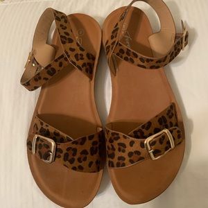 Leopard Print Sandals Size 8 NWOT